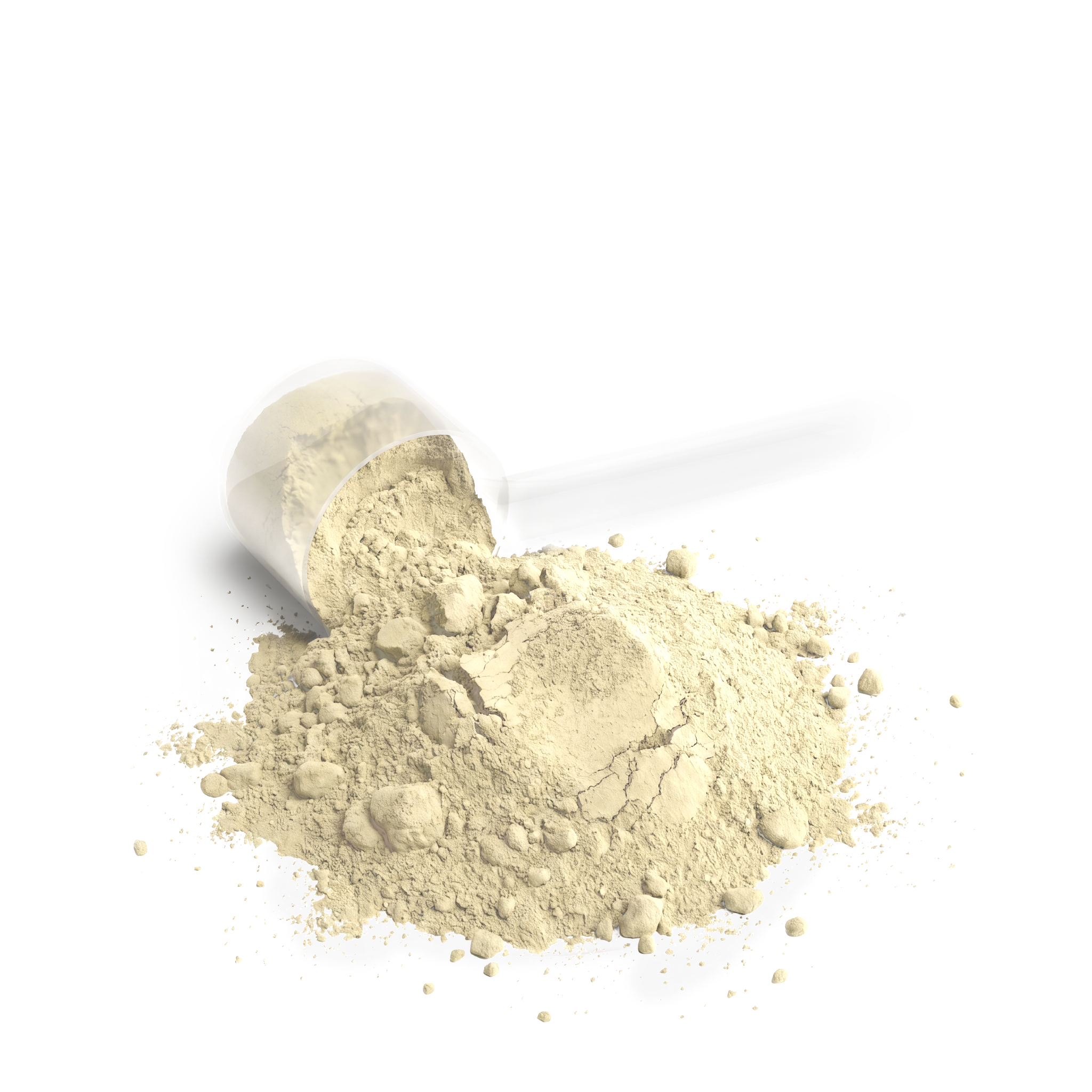 Envusion Performance Whey Protein Blend – Vanilla